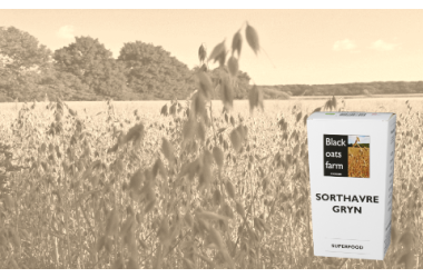 Was ist Schwarzhafer - FAQ